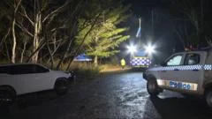 Lifelike doll with 'bruises and grazes' sparks mistaken Australian murder inquiry
