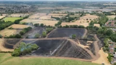 How can landscape recover after devastating fires?