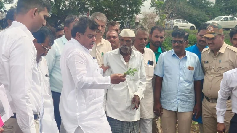 Government will try to release maximum compensation to farmers, says Minister M.B. Patil