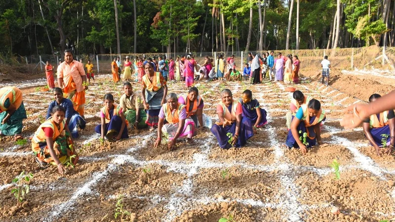 Tiruchi expands green cover with Miyawaki forest initiative