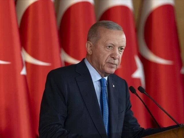 Erdogan open to friendly nations joining pact