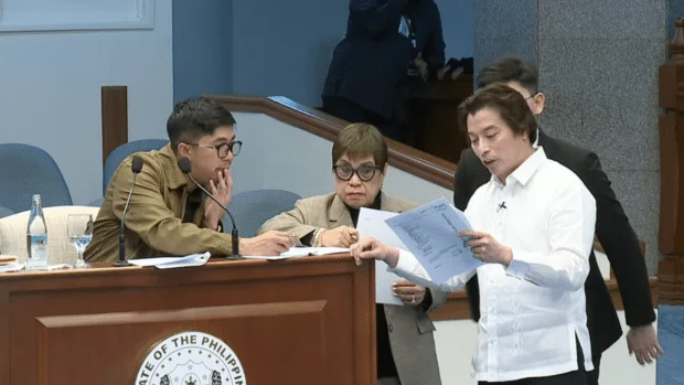 WATCH: Defense cites 2014 OVP confidential fund allocation