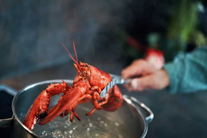 Court battle over lobster being placed on do-not-eat ‘red list’ hits a roadblock due to free speech concerns