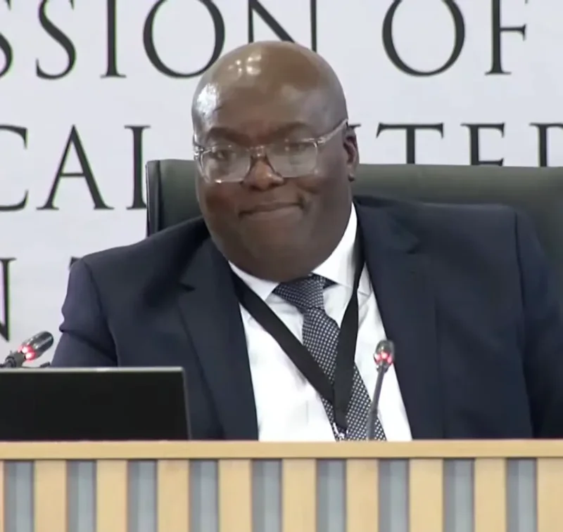 Johnson sidelined senior prosecutors in Crime Intelligence arrests, commission hears