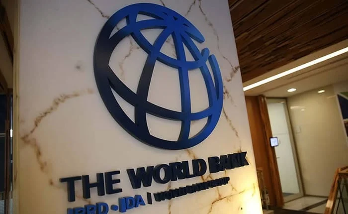 Developing countries can accelerate growth with AI – World Bank