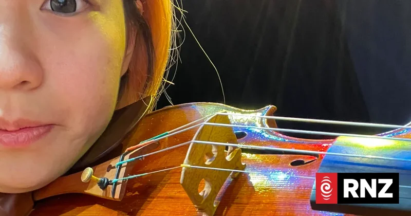 Police continue hunt for missing $37,000 violin left on bus
