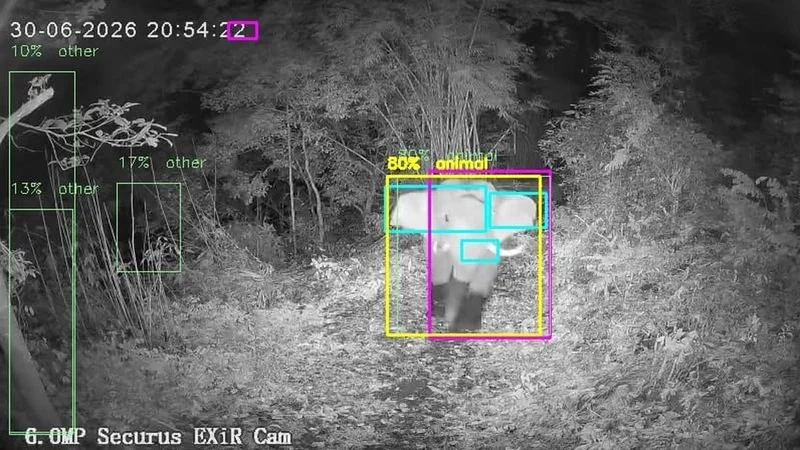 How ‘AI sentries’ are bringing new hope to Kerala’s human-wildlife conflict zones