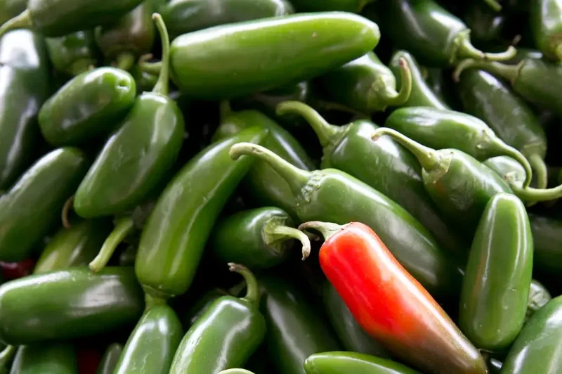U.S. salmonella outbreak linked to jalapenos spreads in 27 states