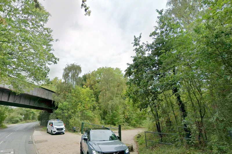 Murder investigation launched after man bitten by dog dies