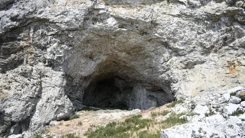 Archaeologists find 9,500-year-old burial of young woman and fetus in Sweden