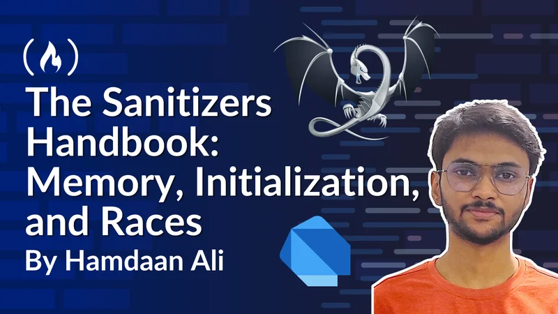 The Sanitizers Handbook: Memory, Initialization, and Races
