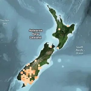 Te Anau rattled by magnitude 5.2 earthquake