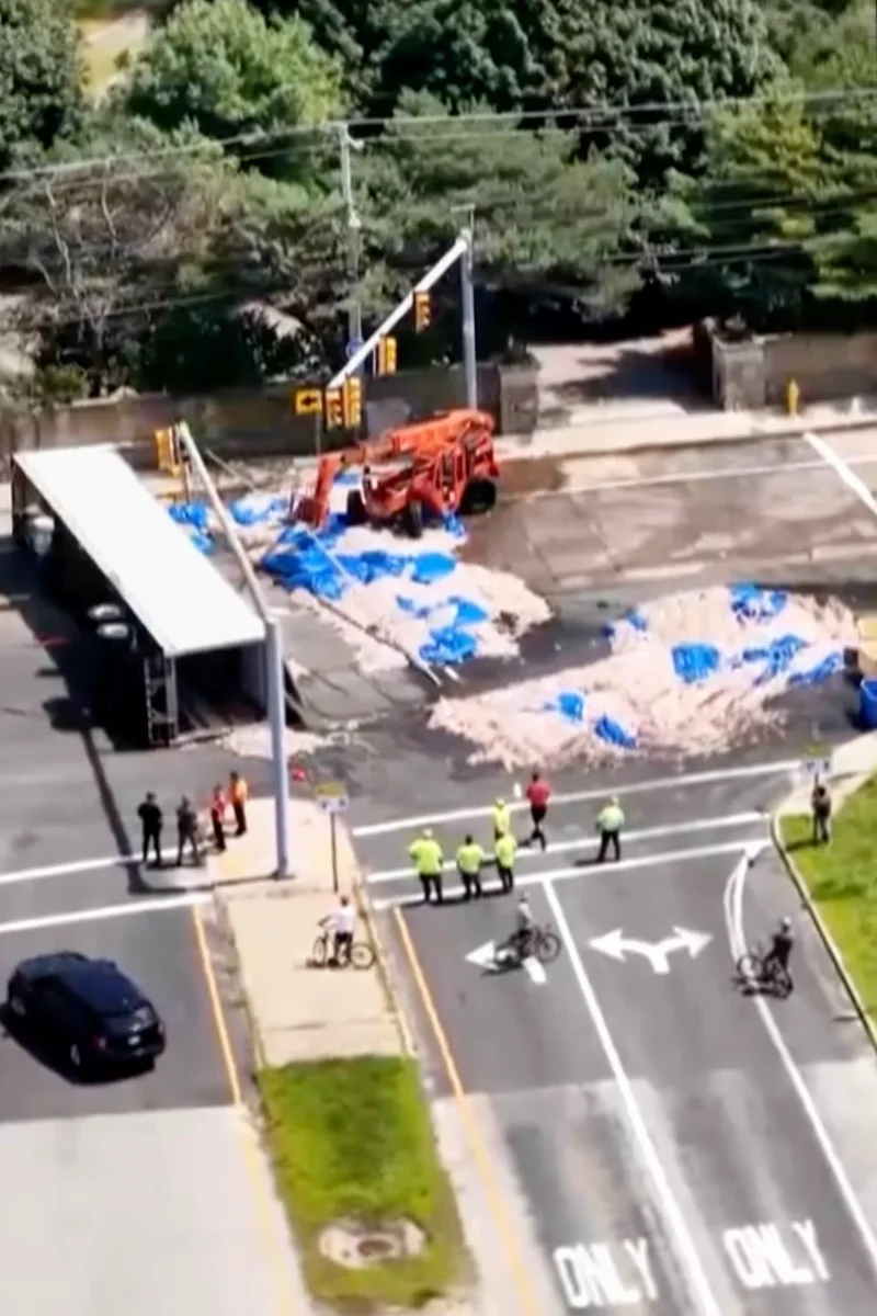 ‘Squid has a distinctive odor to it’: Seafood truck crash in Rhode Island creates ‘Squidpocalypse of ’26’