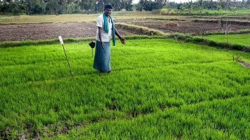 Karnataka monsoon deficit: Farmers in Mandya urged to shift to short-duration, dryland crops