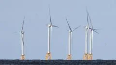 US strikes $1.2bn deal to pay German firm to halt offshore wind projects