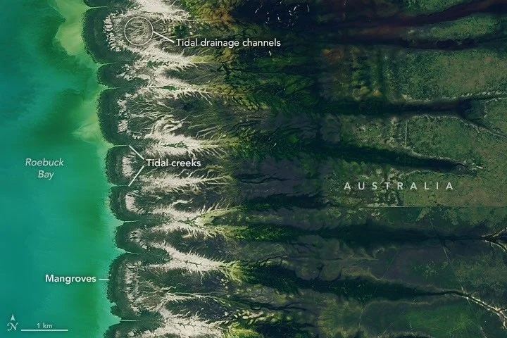 Bountiful Roebuck Bay