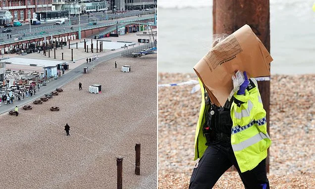 Woman, in her 20s, is 'raped on Brighton beach' - as man, 28, is arrested