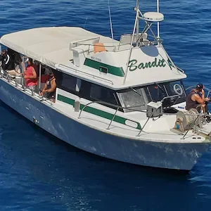 Whakatāne’s Cascade Charters ordered to pay fine and reparation, after passengers thrown overboard on fishing charter