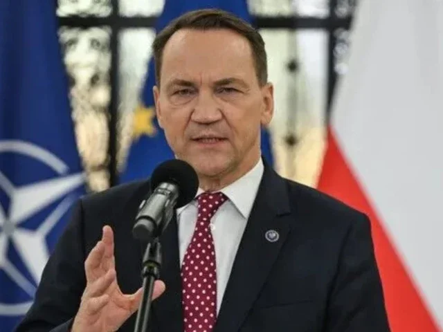 Gaza 'humanitarian catastrophe' undermining support even in 'pro-Israel' nations: Poland