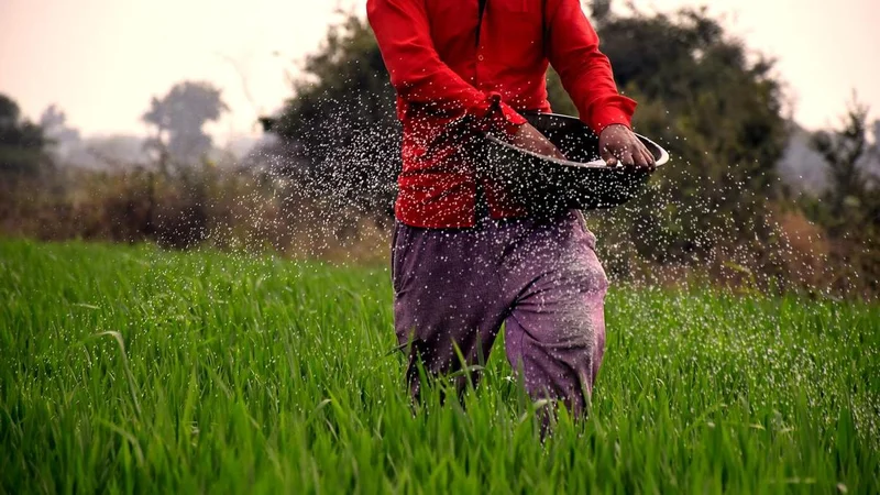 T.N. Agriculture Budget: govt. announces price support scheme for tomatoes, onions; thrust on green manure crops