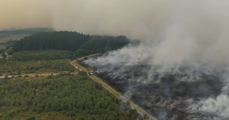 Belgium faces its largest wildfire on record, turns to Europe for air support
