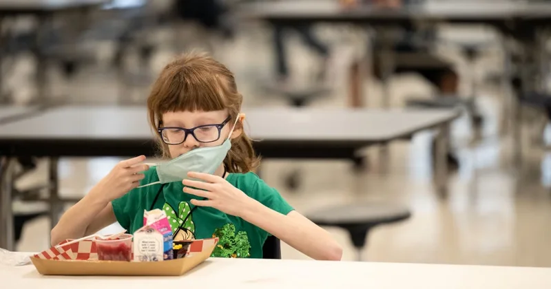 Millions of children could lose free school meals this fall, experts say