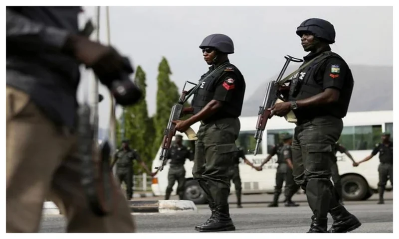 Police foil bandit attack, recover 43 rustled sheep in Sokoto