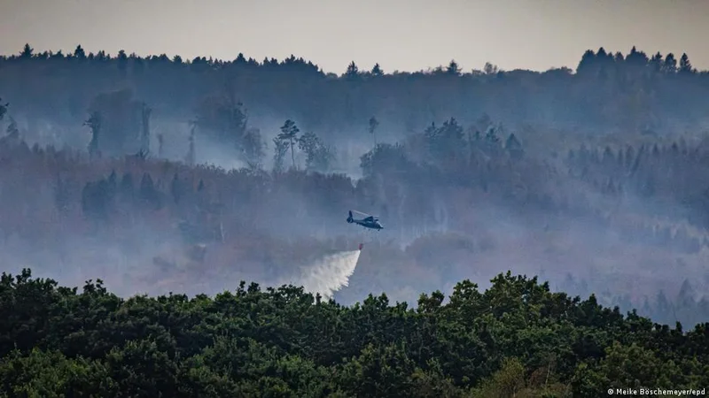 Germany news: Friedrich Merz to visit area struck by fires