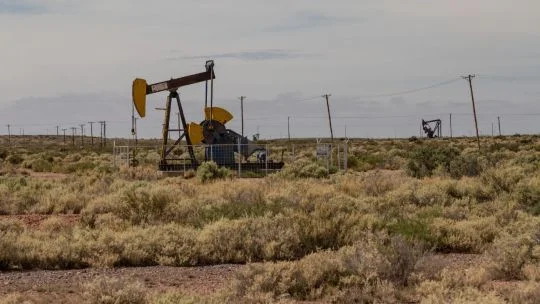 Continental, Geopark among bidders for Argentina shale blocks