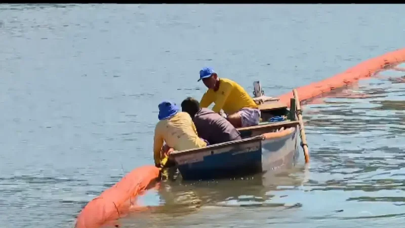 Rio turns discarded salon hair into barriers that protect mangroves from oil