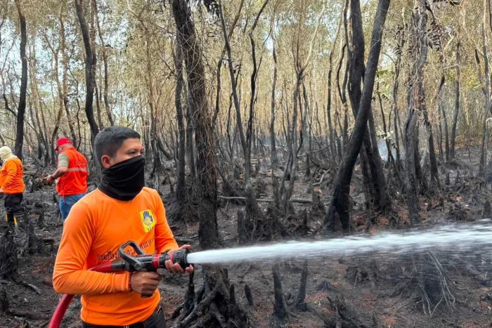 Vast peat fire burning in major swamp forest