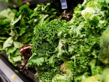 People can resume regular lettuce-eating habits, Michigan health officials say