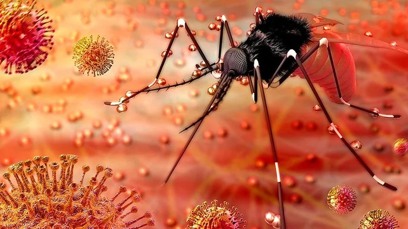 A tiny insect, a deadly enemy: how medicine’s discovery of its impact shaped health and town planning