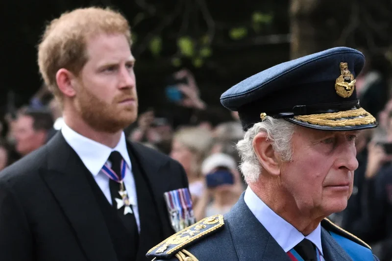 ‘Daddy’s boy’ Prince Harry was always going to return to UK but William will be furious, former royal butler says