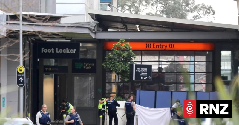 Live: Man shot dead by police after chase through East Auckland