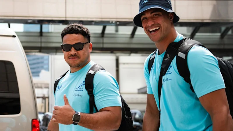 Wallabies melt in Japan, where the weather is officially ‘cruelly hot’