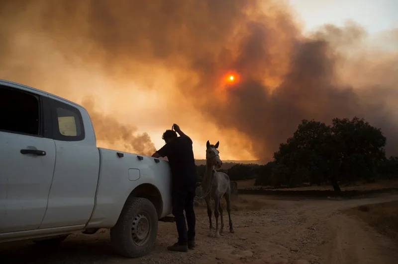 Fire in southeastern Spain active as 470 moved to safety