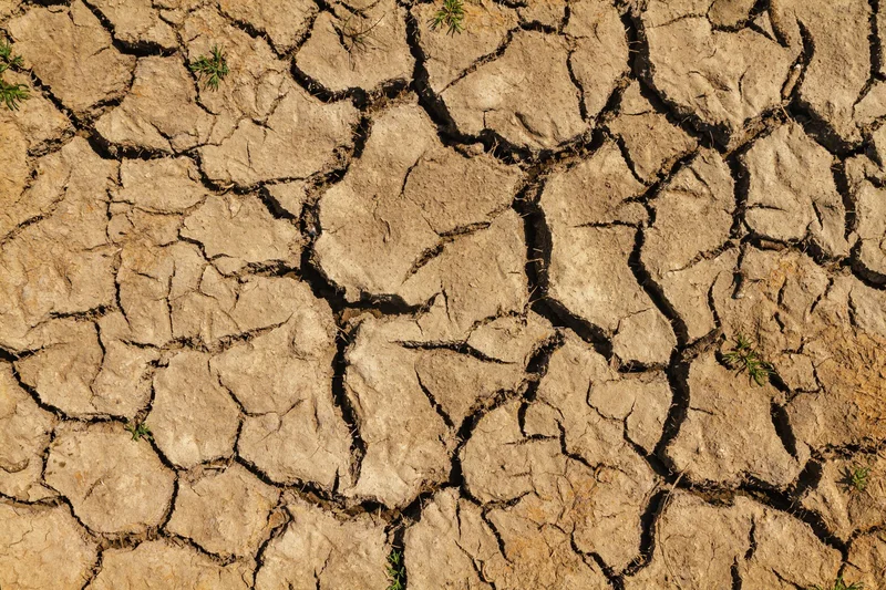 El Niño Turns Central America’s Dry Corridor Into a Hunger Zone