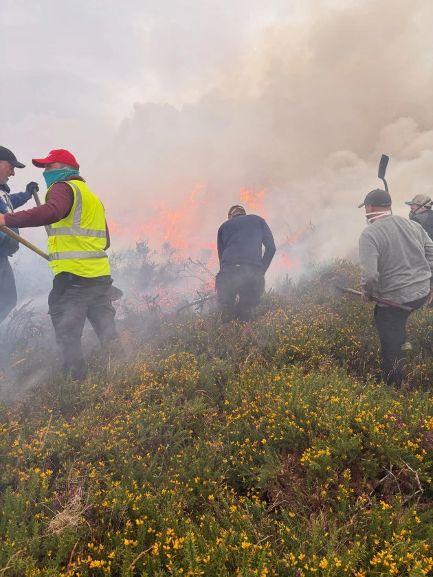 'It's been terrifying': locals say action needed in wake of Dublin mountains wildfires