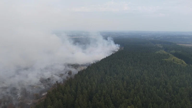 EU sends aircraft and villagers evacuate as Belgium battles record wildfire