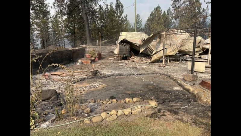 Okanagan resident says flames were surrounding their house as they fled