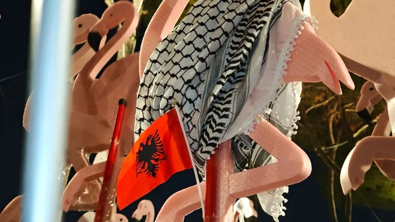 ‘The right to stay’: Albania’s Italian diaspora sails back to support the Flamingo Revolution