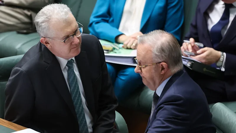 Labor ponders deportation focus for visa overstayers in delayed migration overhaul