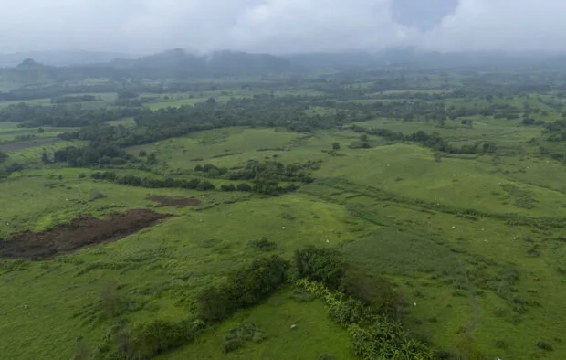 Pax Silica site development eyed in 3 to 5 years