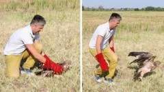 Kidnapped rare Serbian eagle freed into wild after rescue