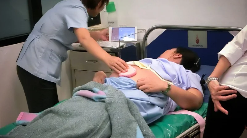 Healthcare Digital Transformation: Considering the System Japan Truly Needs