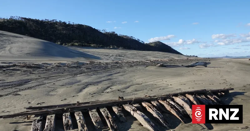 Historians call for better signage after freshly washed-up ship fragment plundered