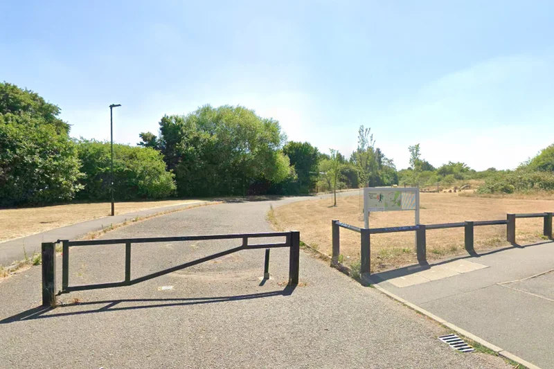 Murder investigation launched after human bones found in woodland