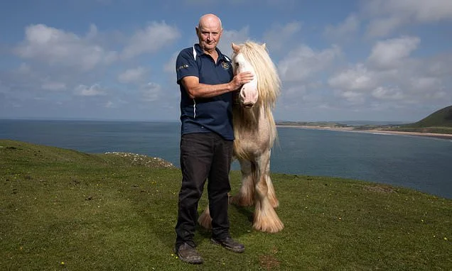 National Trust row sees farmer remove grazing horses from coastal beauty spot after 100 years