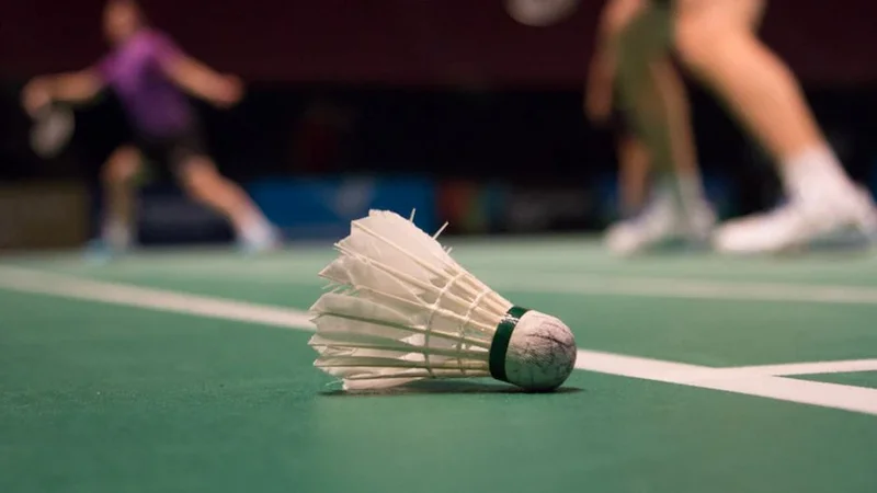 Bird flu drives a 50 per cent cost increase for badminton players